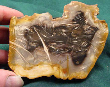 Solid Agate Fossil Honeycomb Coral Head
