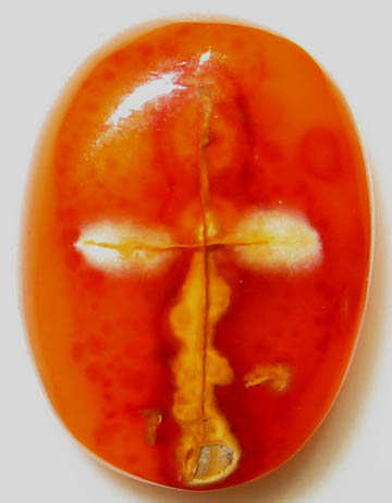 Rare Carnelian Cross Agate